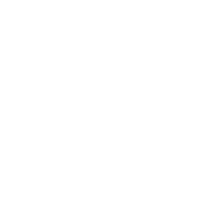 online icon